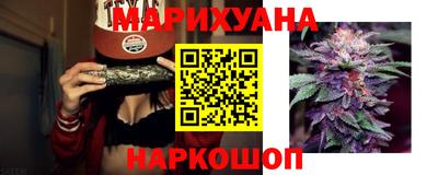 шишки Коммунар