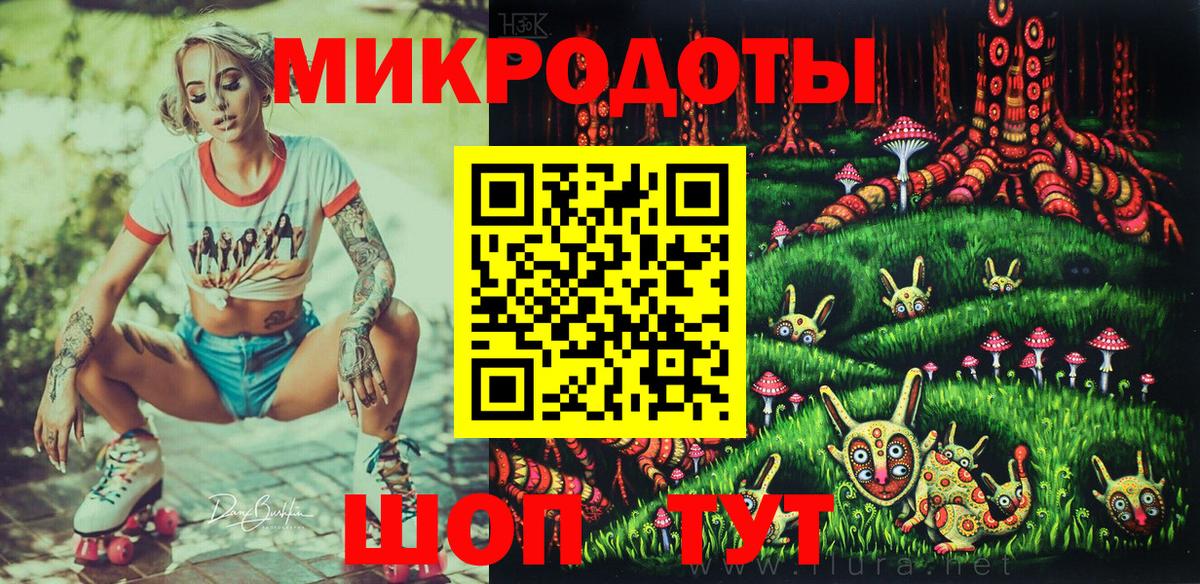 Галлюциногенные грибы Psilocybe Кострома